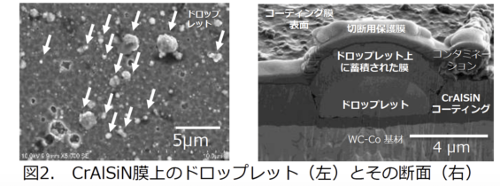 図２.　CrAlSiN膜ドロップレット（左）とその断面（右）